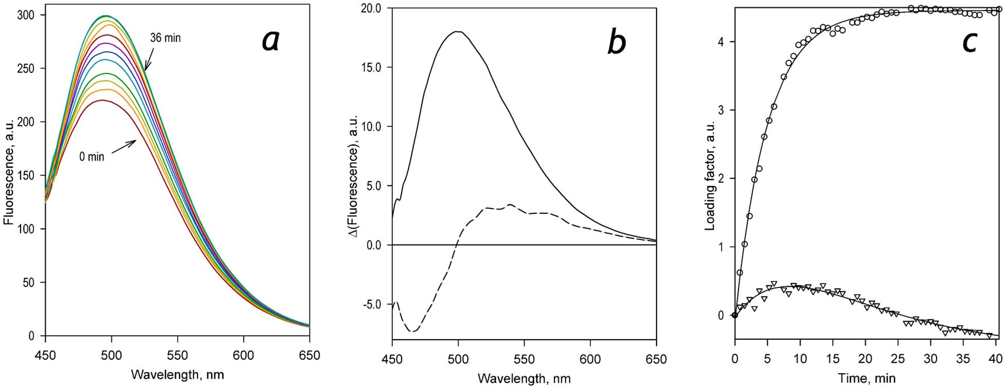 Figure 2.