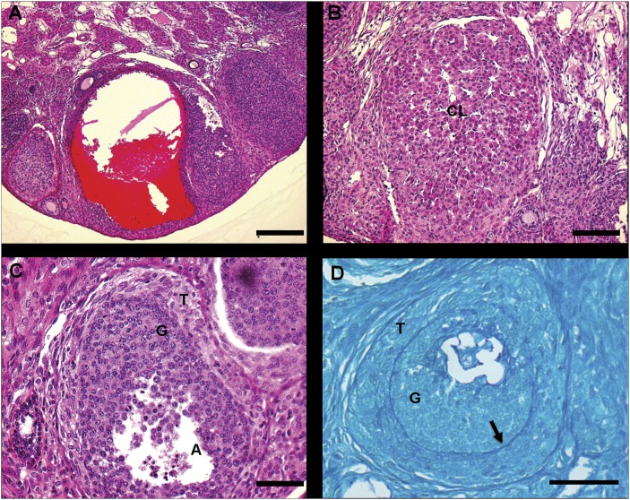 Fig. 7.