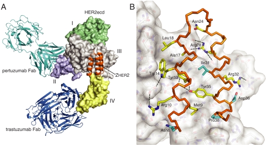 Fig. 3.