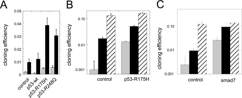 FIGURE 7.