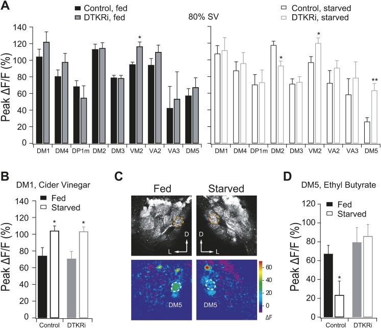 Figure 2—figure supplement 1.