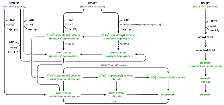 Figure 10