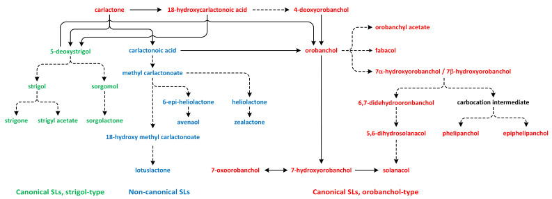 Figure 13