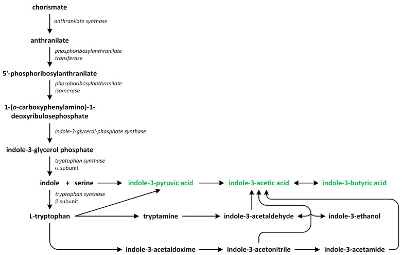 Figure 5