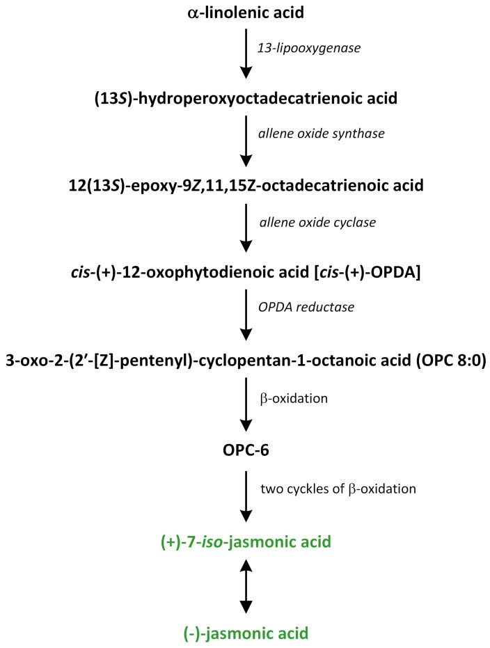 Figure 14