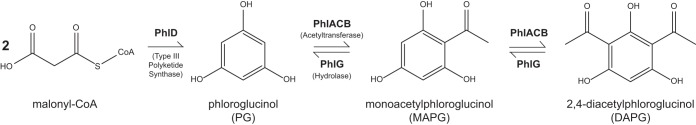 FIG 2