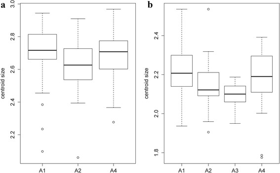 Fig. 12