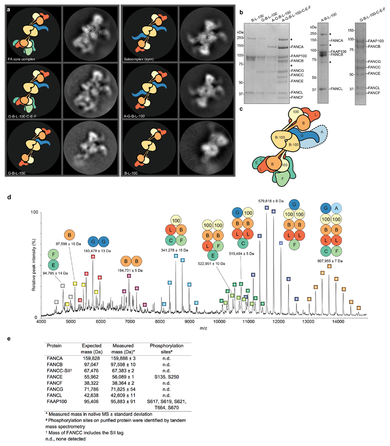 Extended Data Fig. 3