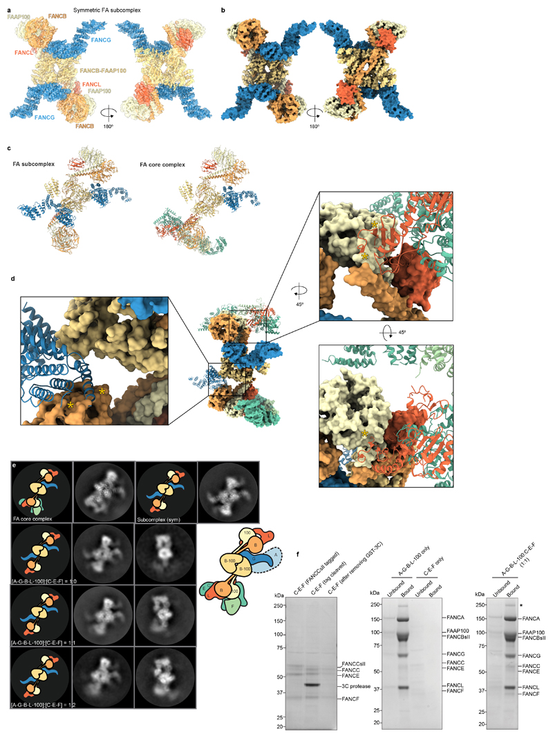 Extended Data Fig. 8