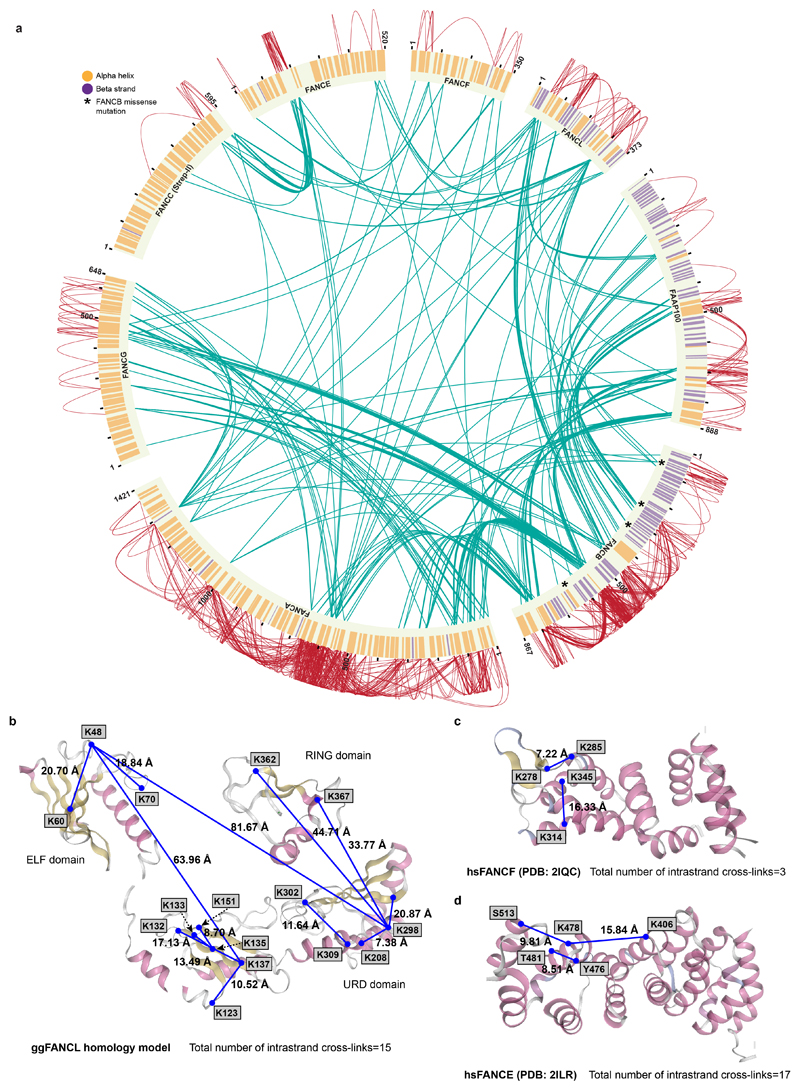 Extended Data Fig. 4