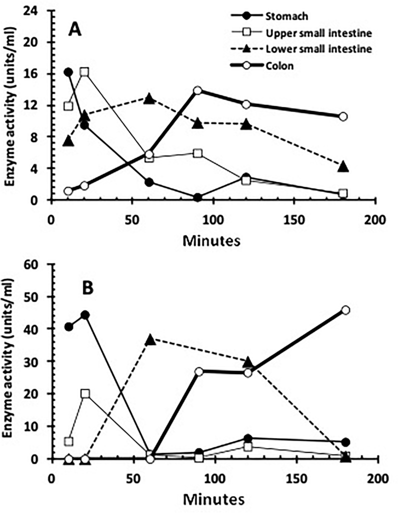 Figure 3