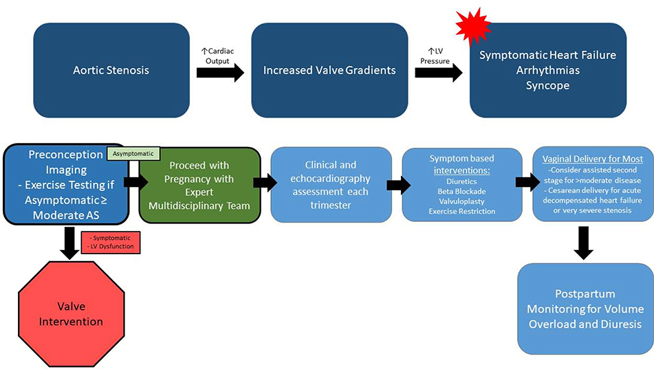 Figure 11.