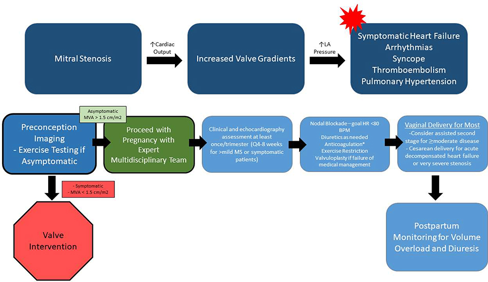 Figure 12.