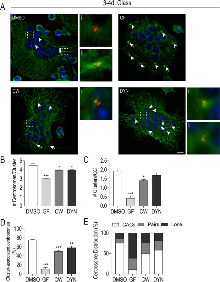 FIGURE 6: