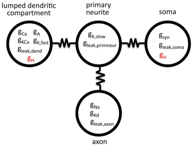 Fig. 1