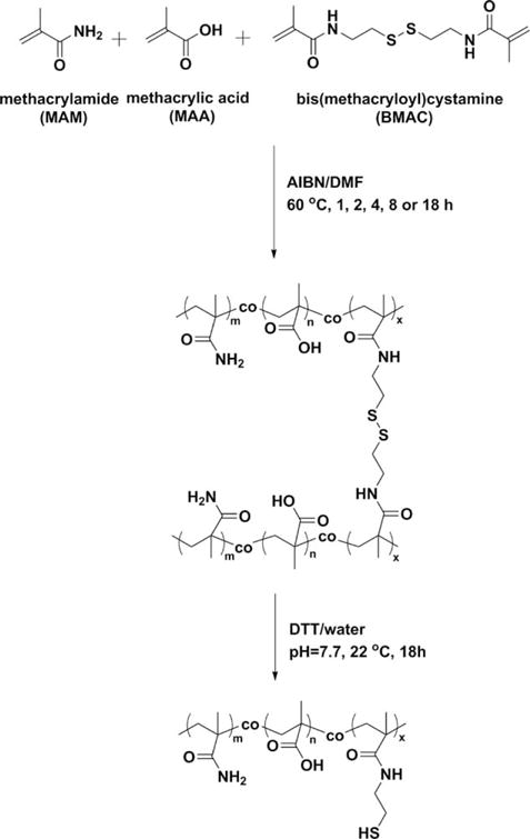 SCHEME 1