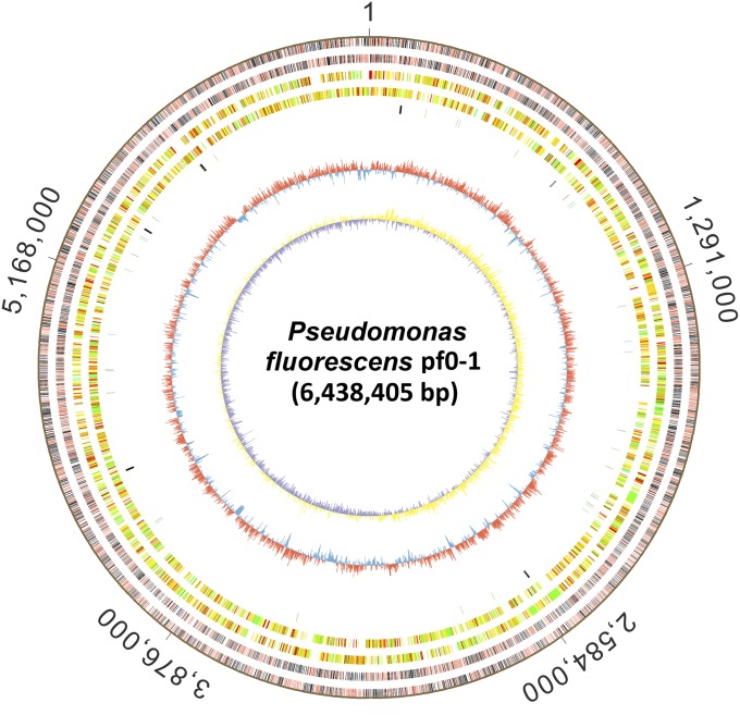 Fig. 3.