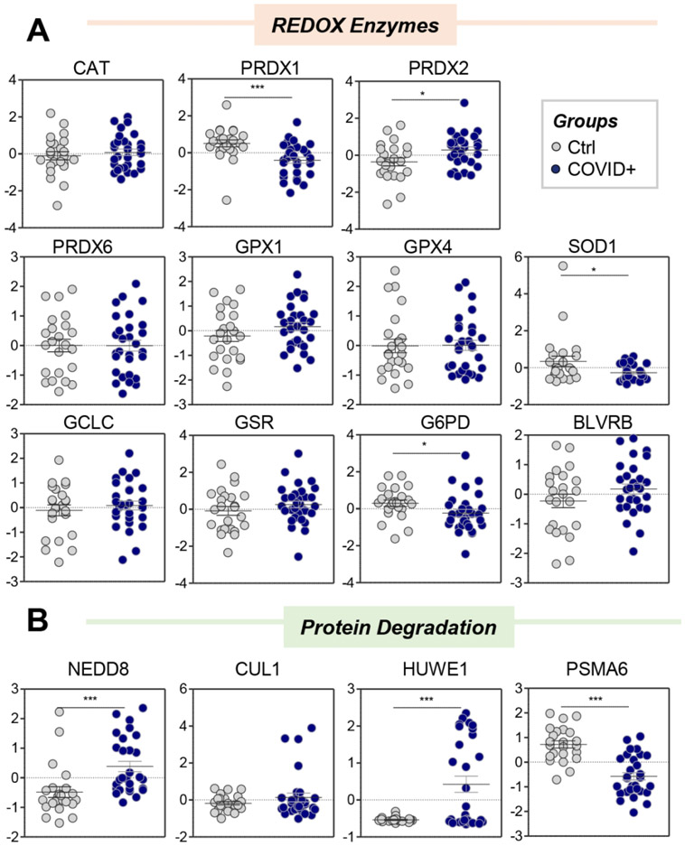 Figure 4 –