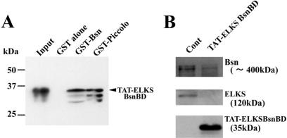 Figure 10.