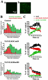 Figure 11.