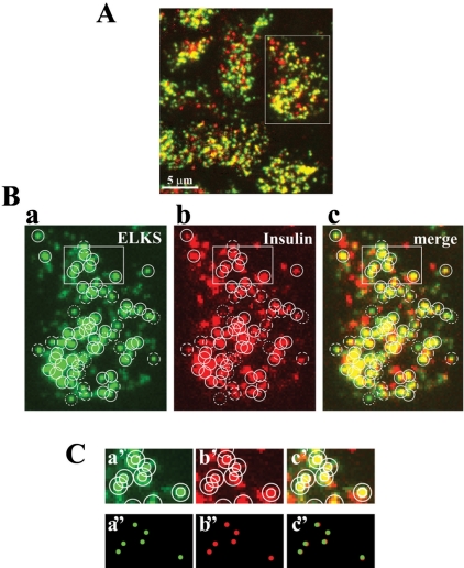 Figure 4.