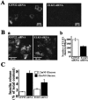 Figure 13.