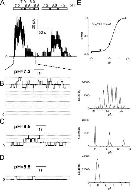 Figure 10.