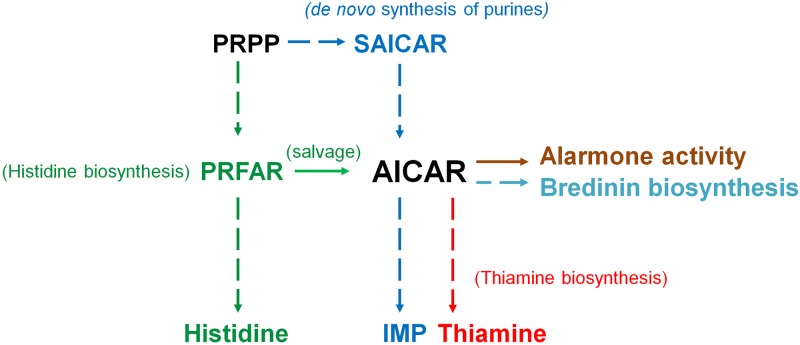 Fig 10