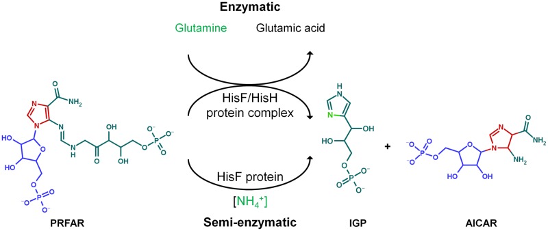 Fig 5