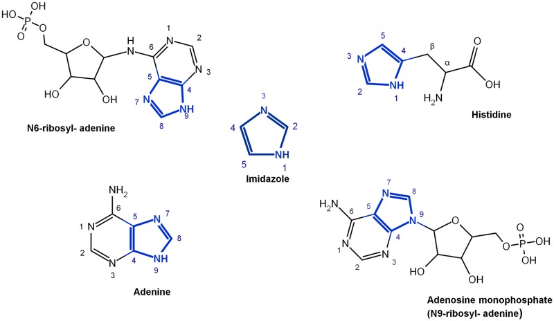 Fig 1