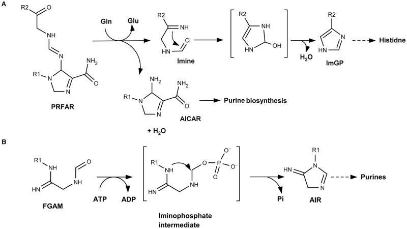 Fig 9