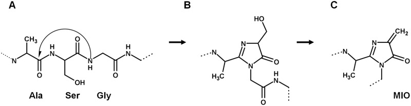 Fig 11