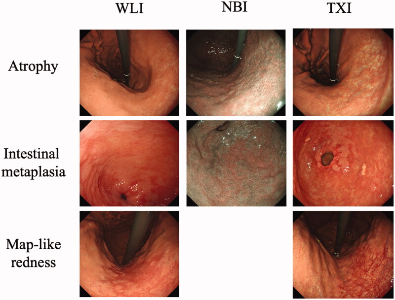 Figure 3.