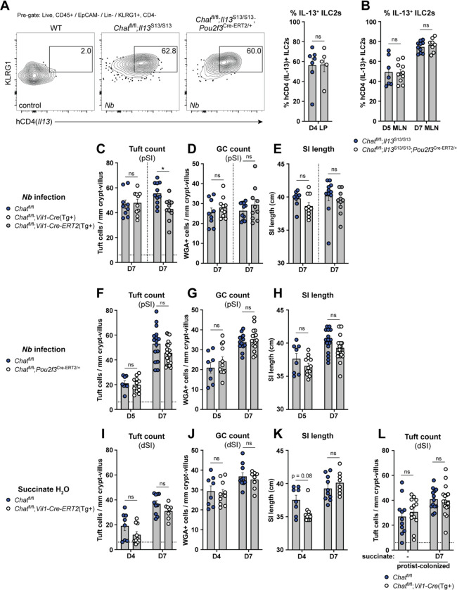 Figure 4: