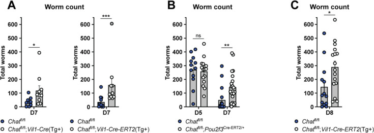 Figure 6: