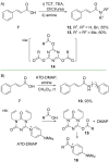 Scheme 5