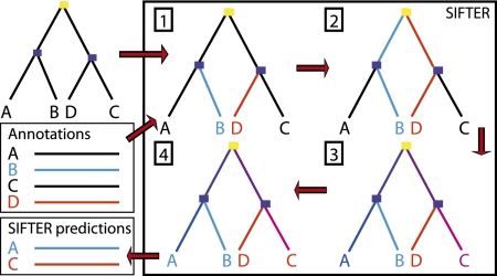 Figure 7.