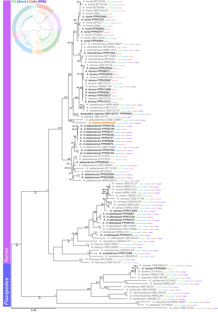 Fig. 6