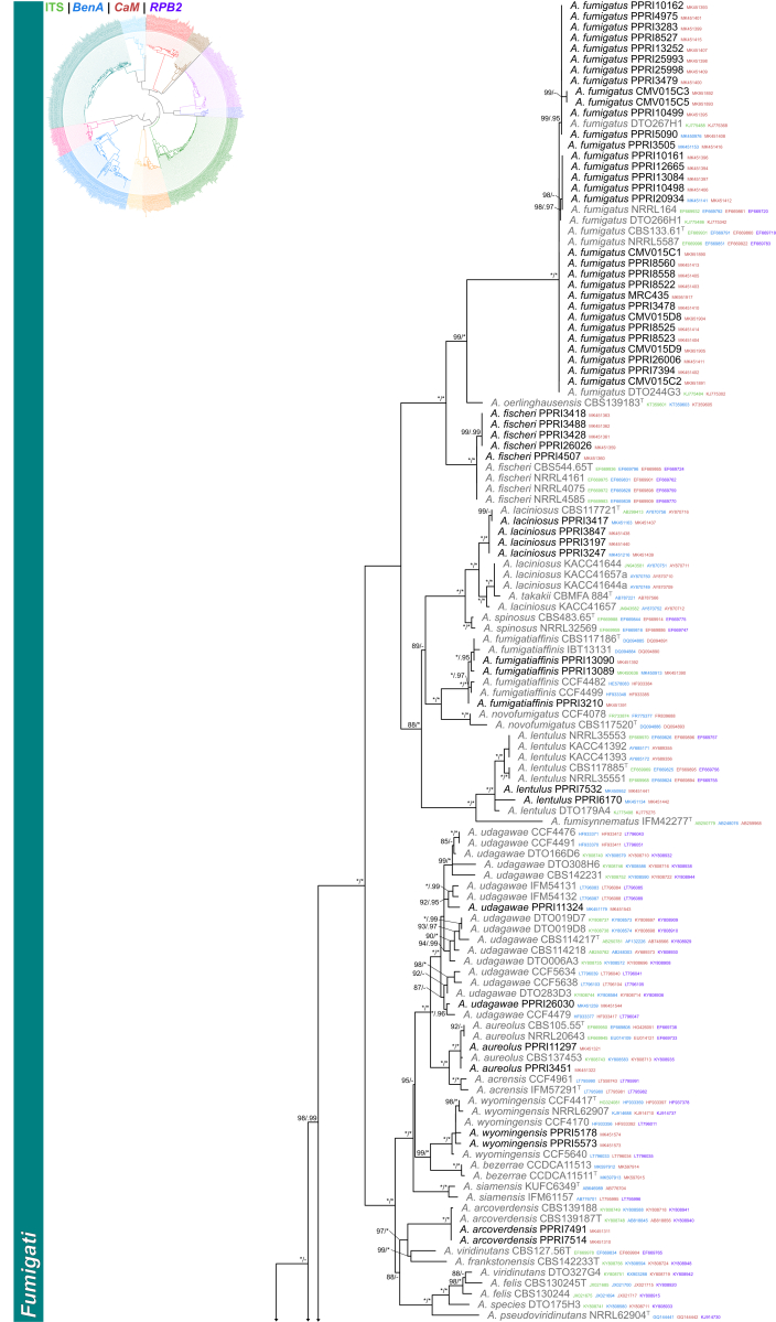 Fig. 4