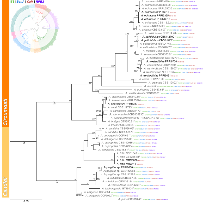 Fig. 2