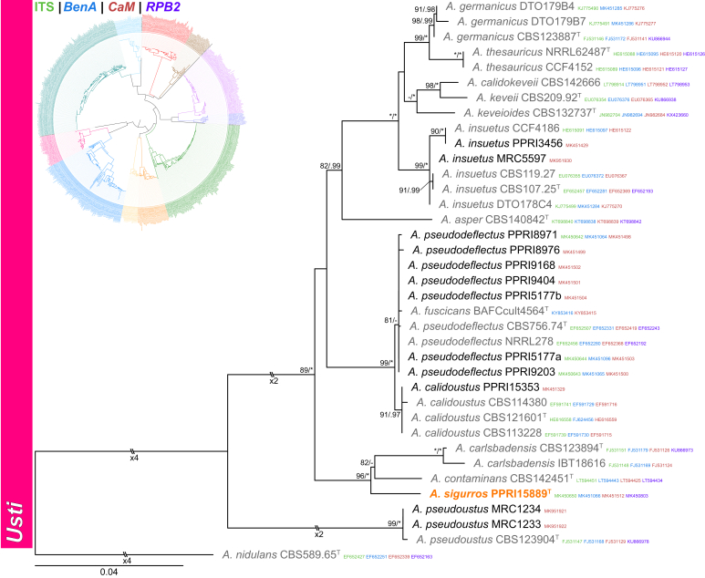 Fig. 7