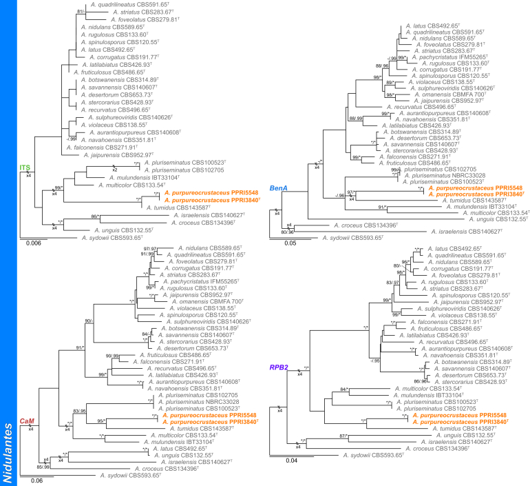 Fig. 11