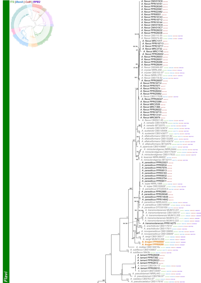 Fig. 3