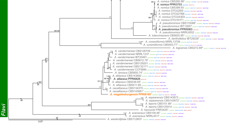 Fig. 3