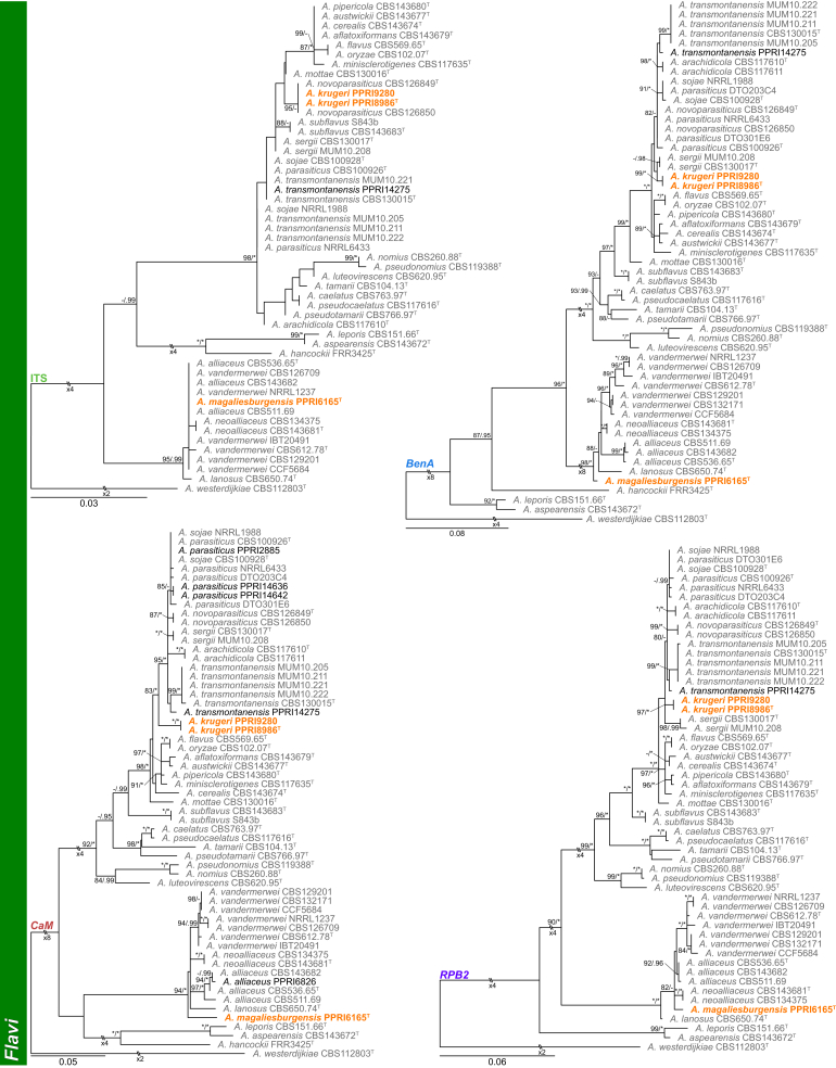 Fig. 10