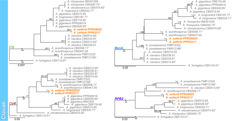 Fig. 12