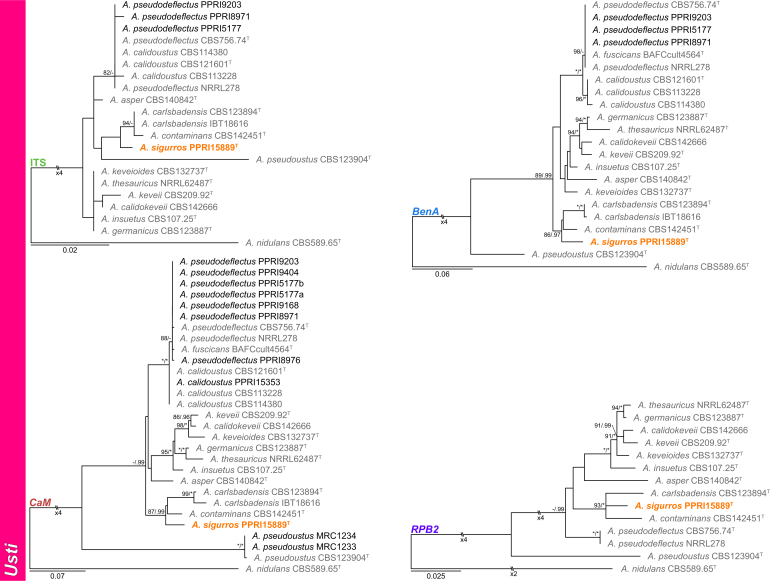 Fig. 13