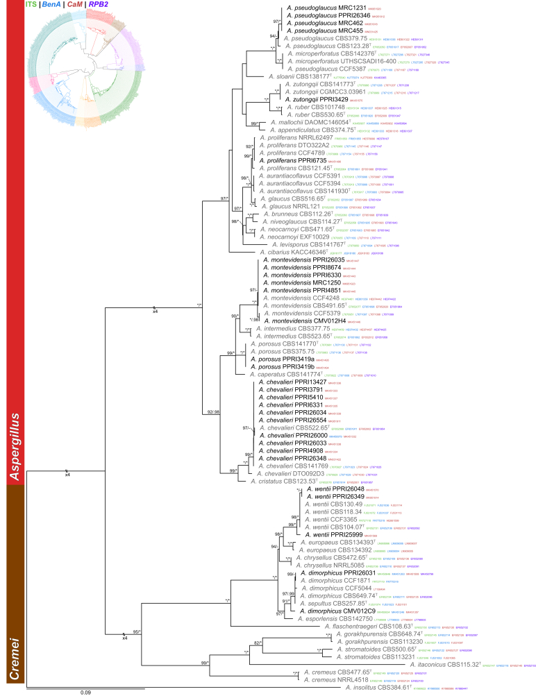 Fig. 1