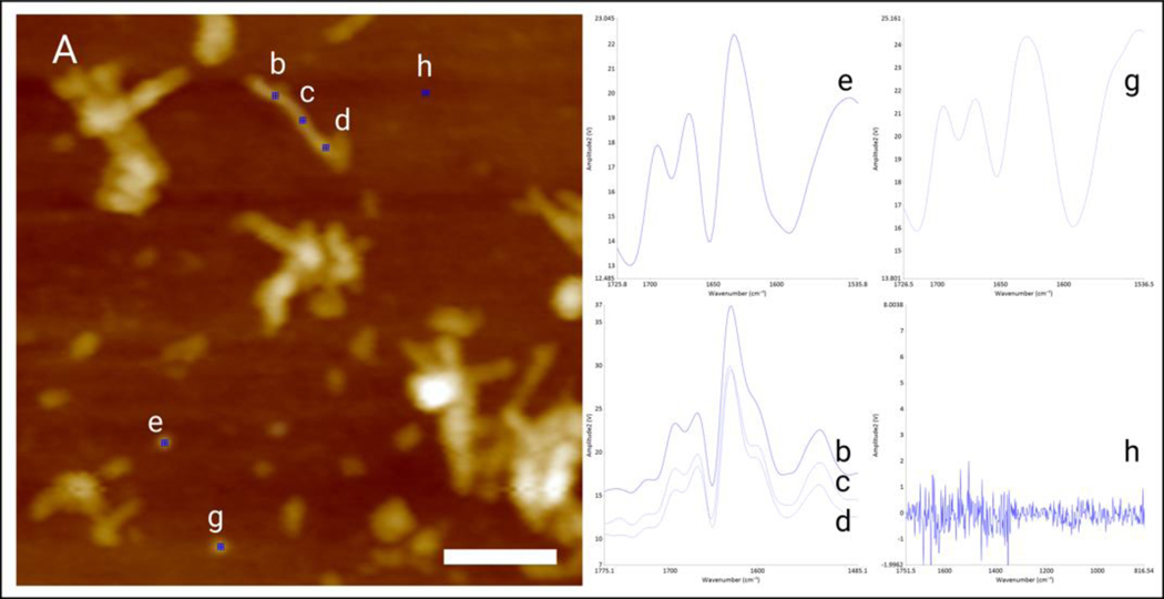 Figure 11.