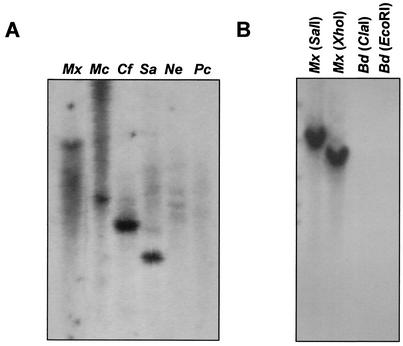 FIG. 5.